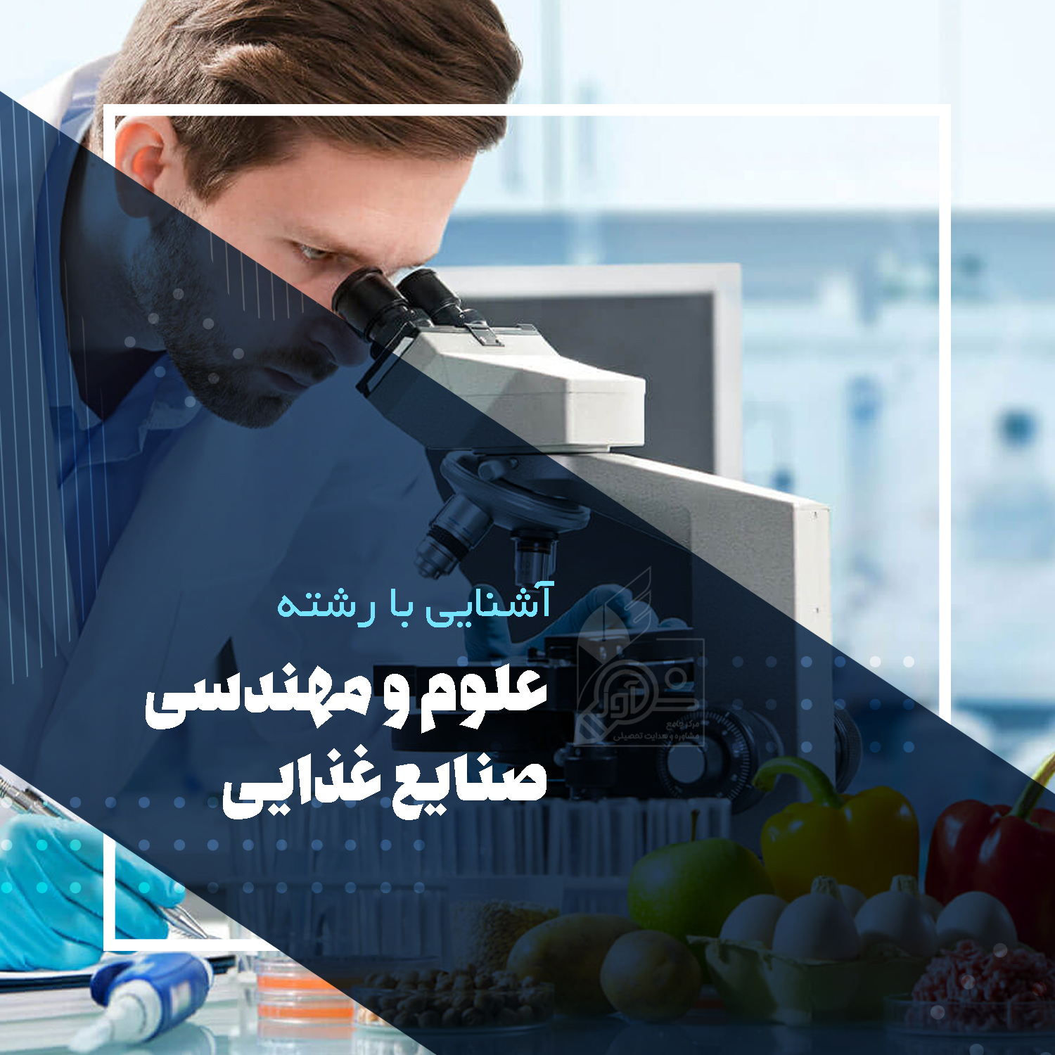 This image for Image Layouts addon