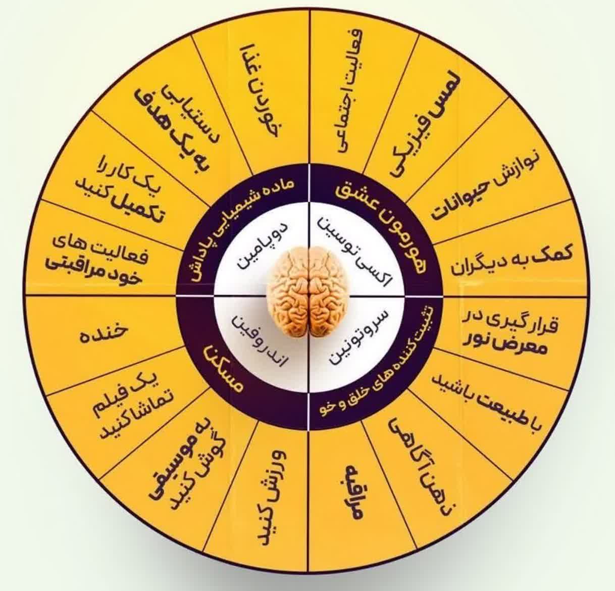 photo 2025 09 30 09 04 58