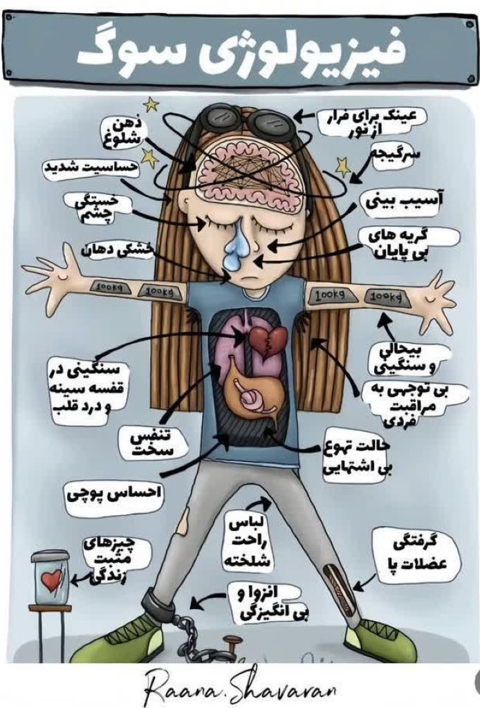 photo 2025 09 29 09 16 50